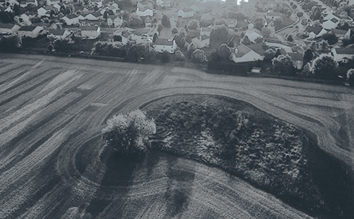 TBI survivors in Indiana