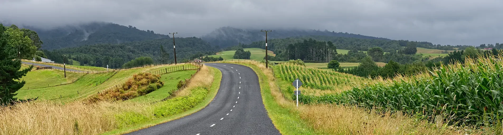 Country-Road-AdobeStock_211739257-1905×514